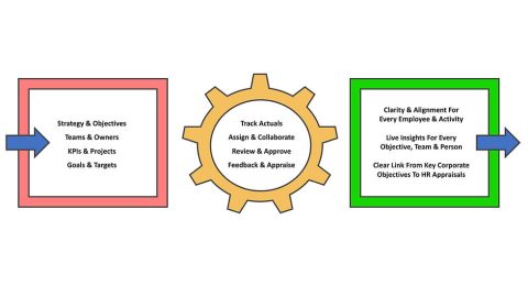 Talent Mapping