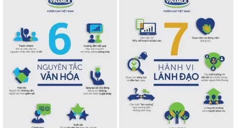 VinGroup - Văn Hóa Làm Việc