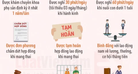 Cơ hội cho người lao động cao tuổi
