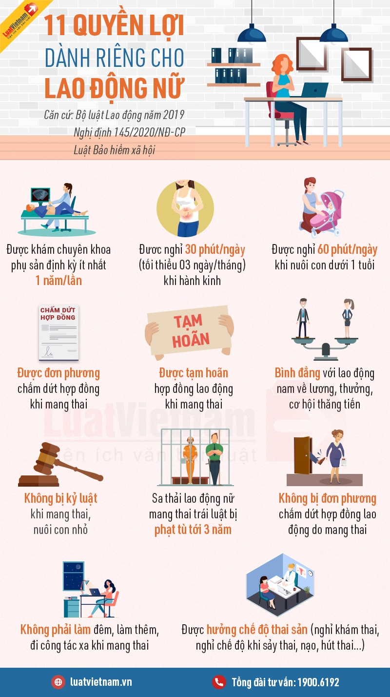 Cơ hội cho người lao động cao tuổi