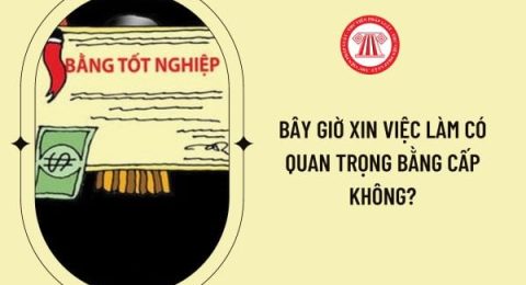 Bằng cấp và chứng chỉ giúp tăng cơ hội việc làm