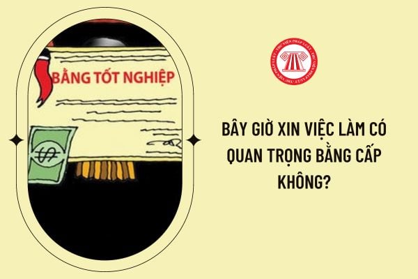 Bằng cấp và chứng chỉ giúp tăng cơ hội việc làm