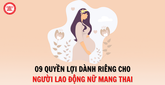 Đào tạo người lao động cao tuổi