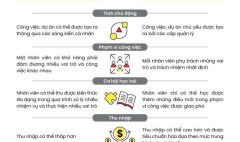 so-sanh-startup-va-cong-ty-lon-603x1024-1