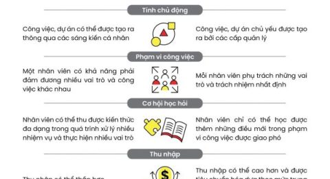 So sánh công ty lớn và start-up