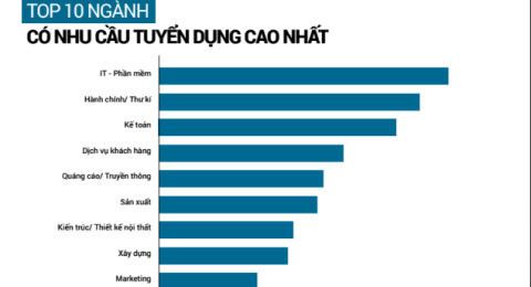 top-10-ngC3A0nh-cC3B3-nhu-cE1BAA7u-tuyE1BB83n-dE1BBA5ng-cao-nhE1BAA9t